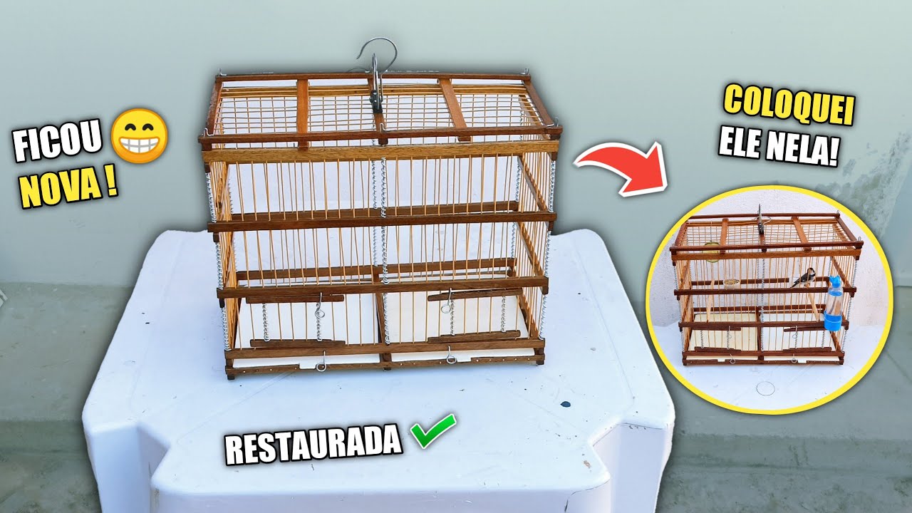 🔥 TERMINANDO A GAIOLA SIMPLES | E COLOCANDO MEU GOLINHA NELA !