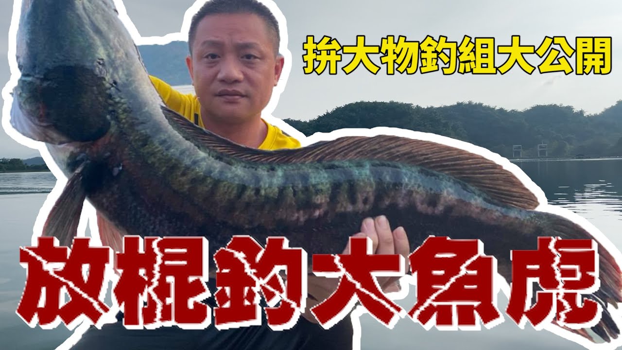 魚虎系列｜重裝挑戰釣巨大魚虎，拼大物釣組大公開。
