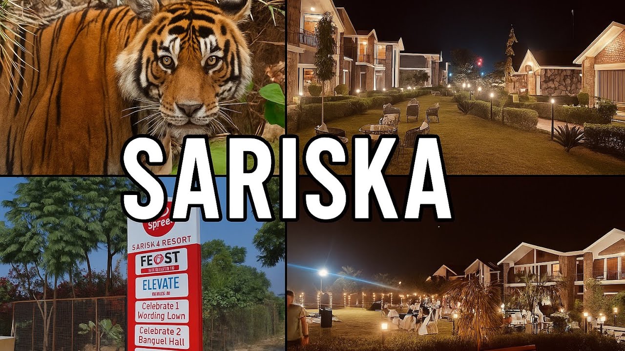 Spree Sariska Resort | Best Staycation Near Sariska Tiger Reserve | Rajasthan Vlog | Sariska Hotel
