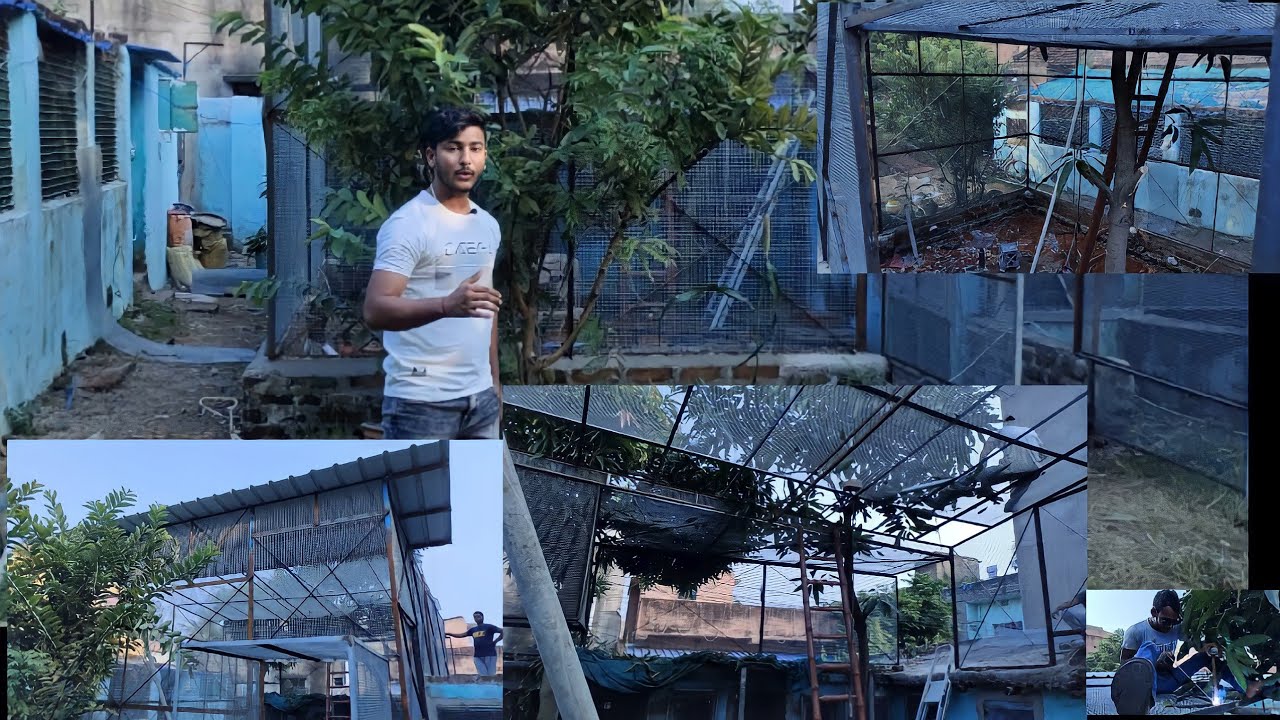 Making a Beautiful open Aviary in outdoor.