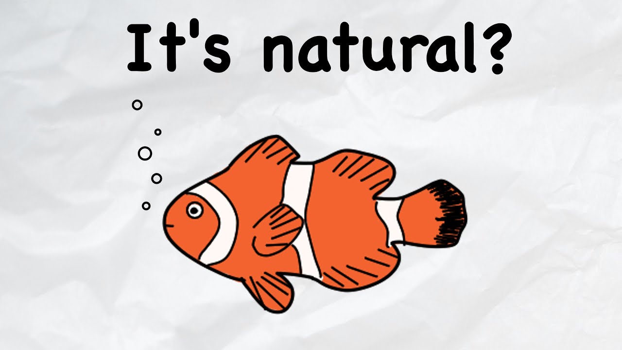 Queer Diversity in Nature & Humans (animated)