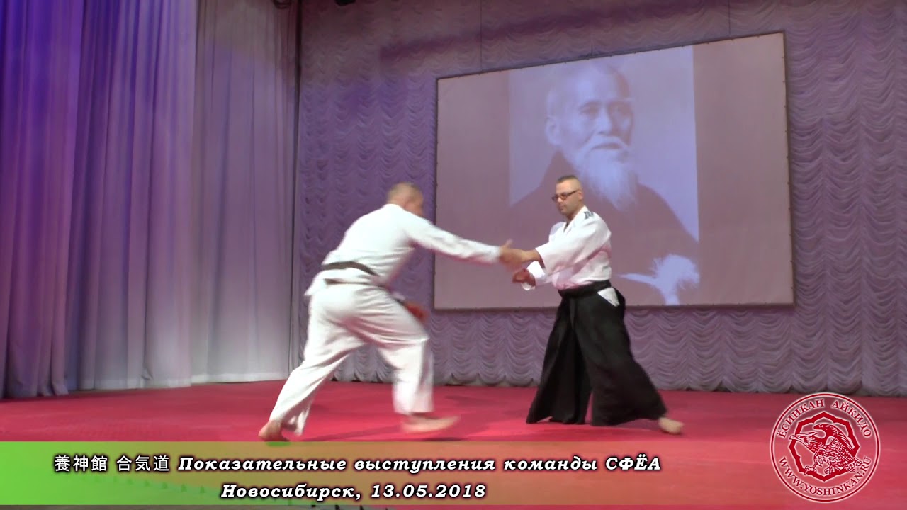Показательные выступления команды СФЁА 13.05.2018