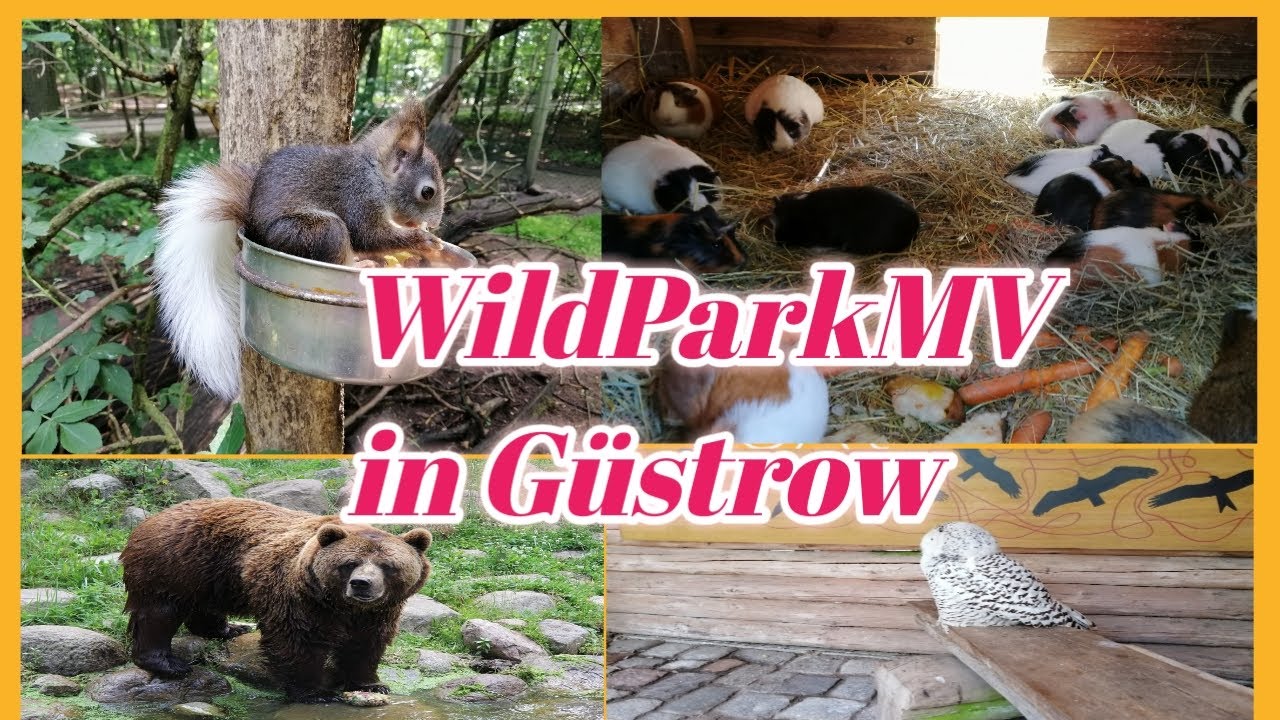 WILDPARKMV IN GUSTROW 2020 | VLOG # 79