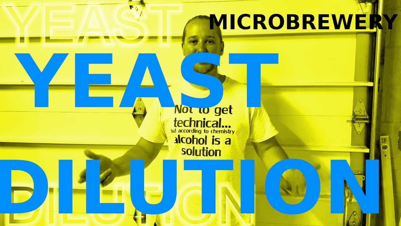 YEAST DILUTION & VIABILITY! How To: Microbrewery!