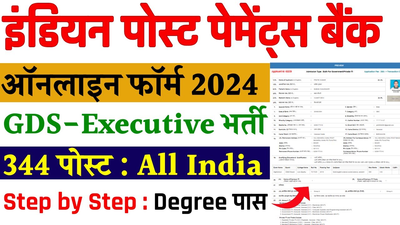 IPPB Executive Online Form 2024 ONline form kaise bhare | how to apply |