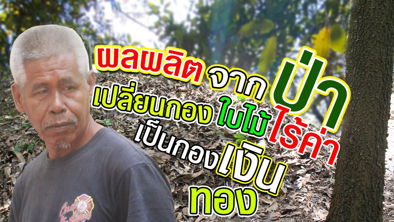 ทำดินจากใบไม้ | คนรักษ์ป่า ep 10