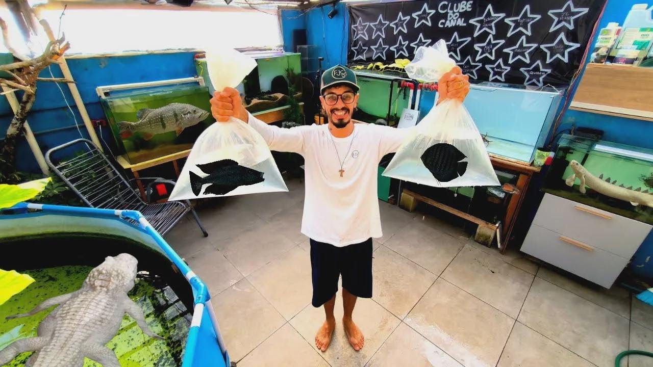 Ich habe super seltene Fische auf einem verrückten Markt gekauft