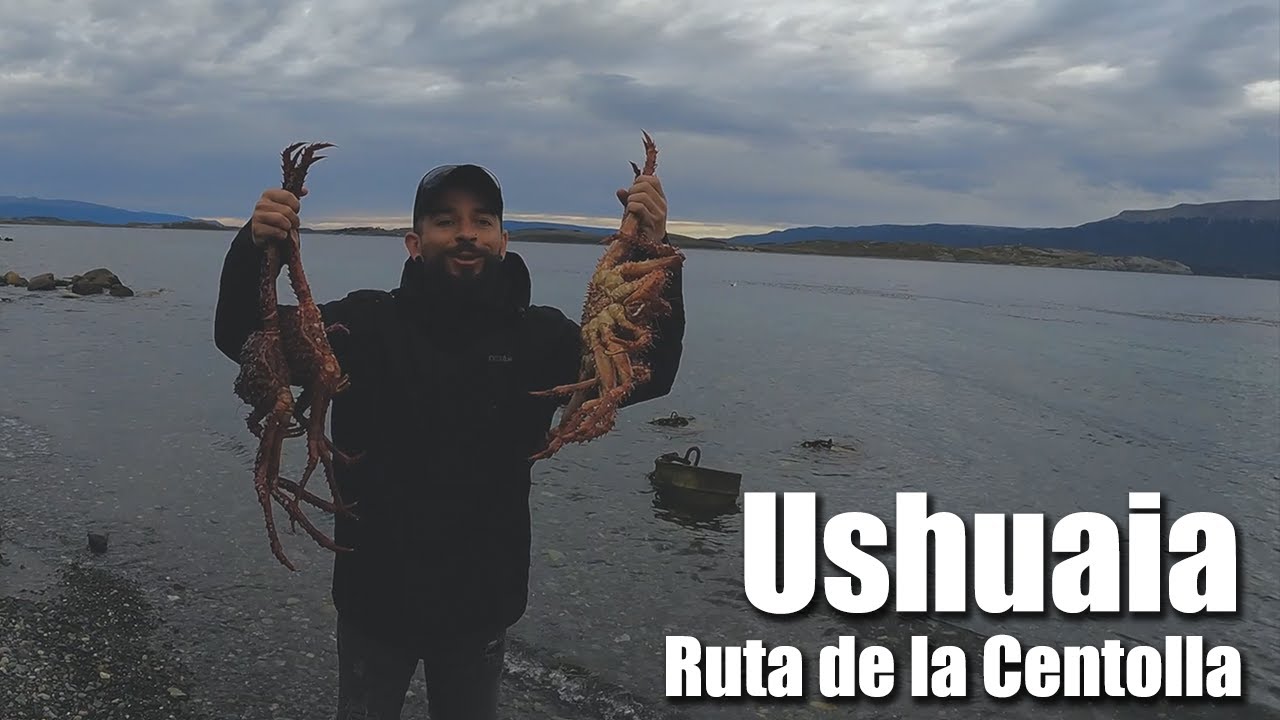 La Ruta de la Centolla | Ushuaia #Argentina | Nos fuimos fin del mundo en busca de más aventuras