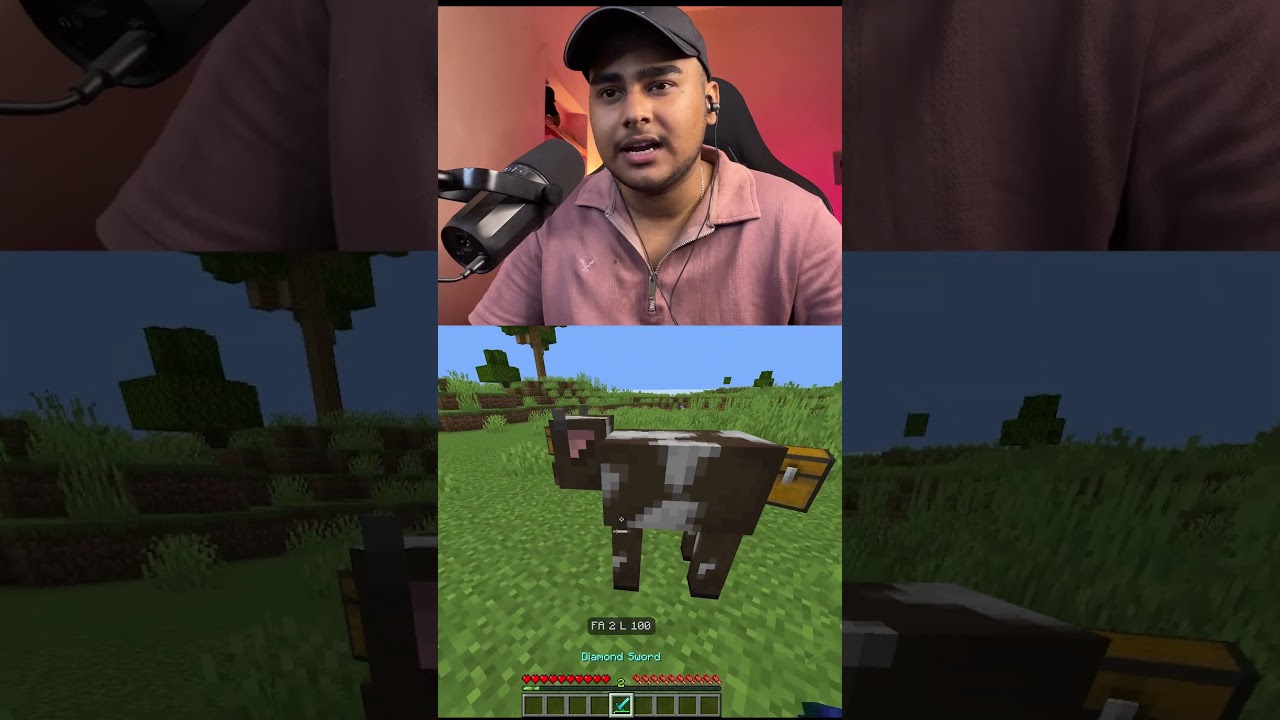 Minecraft, But Looting 250 Is INSANE! 😳#shorts