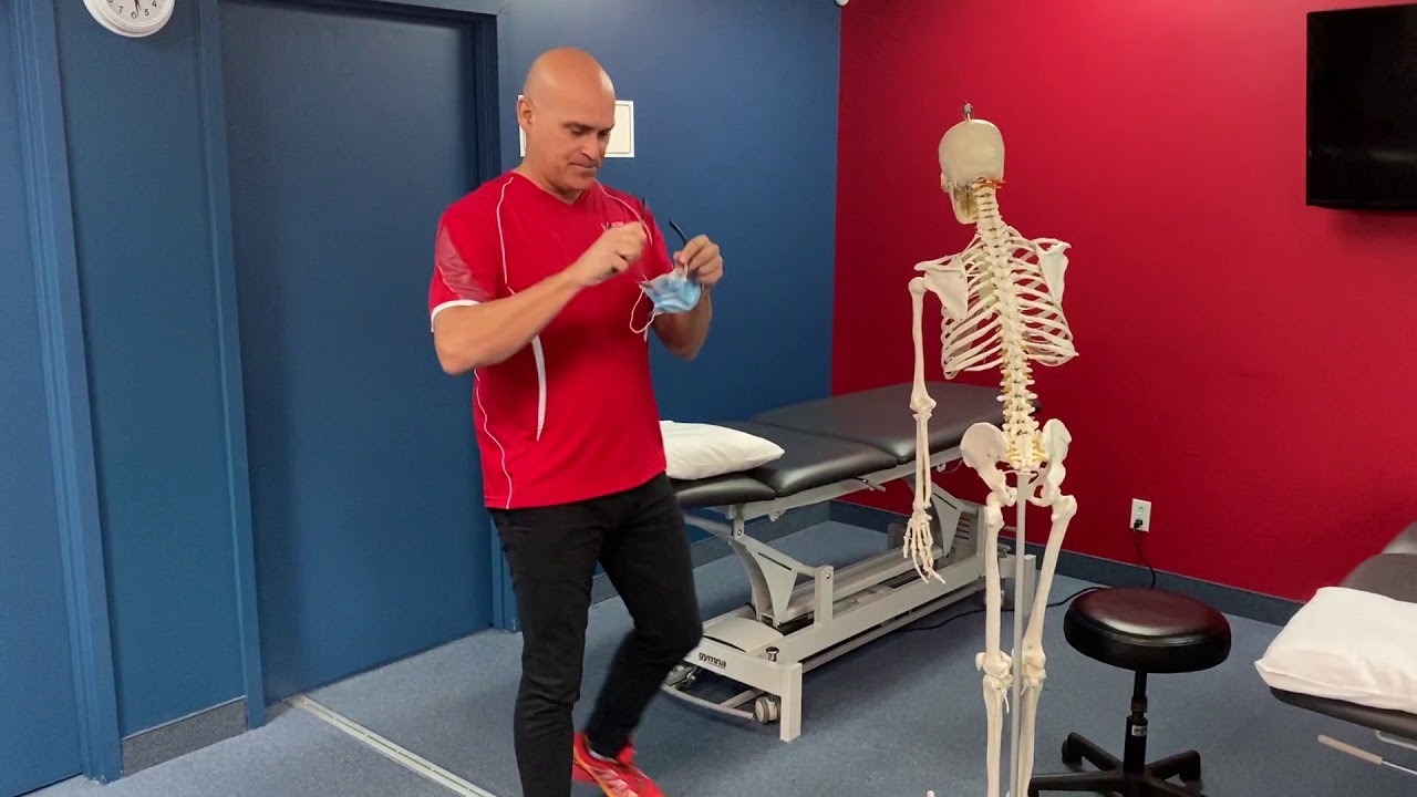 Biomécanique articulation sacro-iliaque