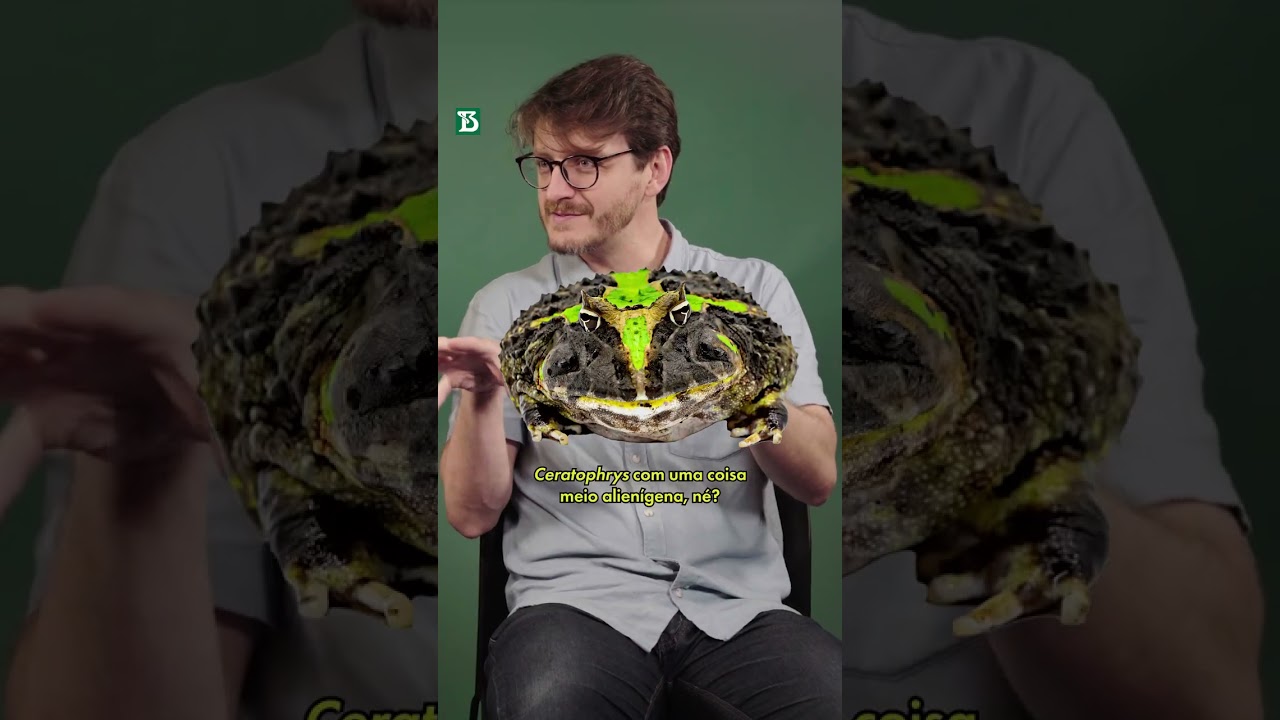 Conheça o Pac-man do mundo animal | Cientista Reage #shorts