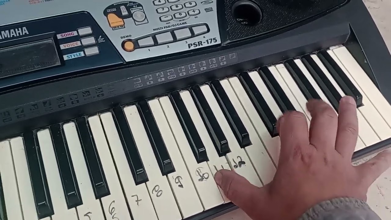 Maravilhoso Teclado Yamaha PSR-175 em funcionamento
