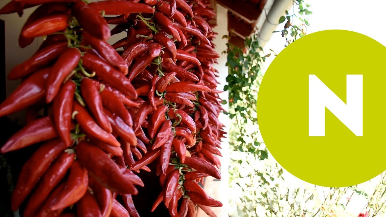 A szegedi fűszerpaprika útja régen és most | Nosalty