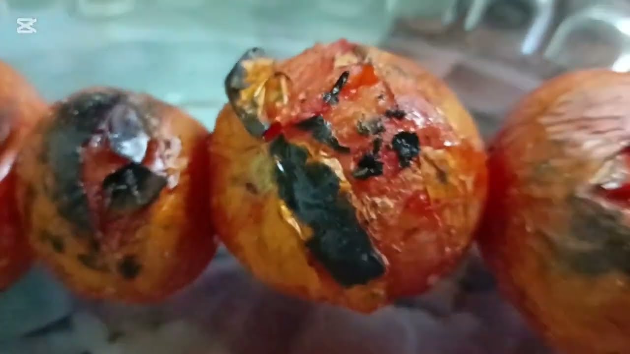 هدية زوجي صدمتني مسواك  اللحوم الشهري 25 الف عمتي حارماتني  من اللحم اطيب مشواي عالفحم 