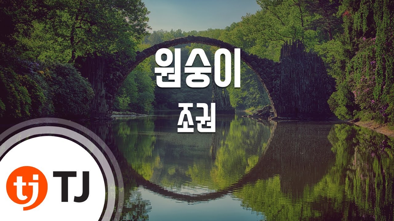 [TJ노래방] 원숭이 - 조권 / TJ Karaoke