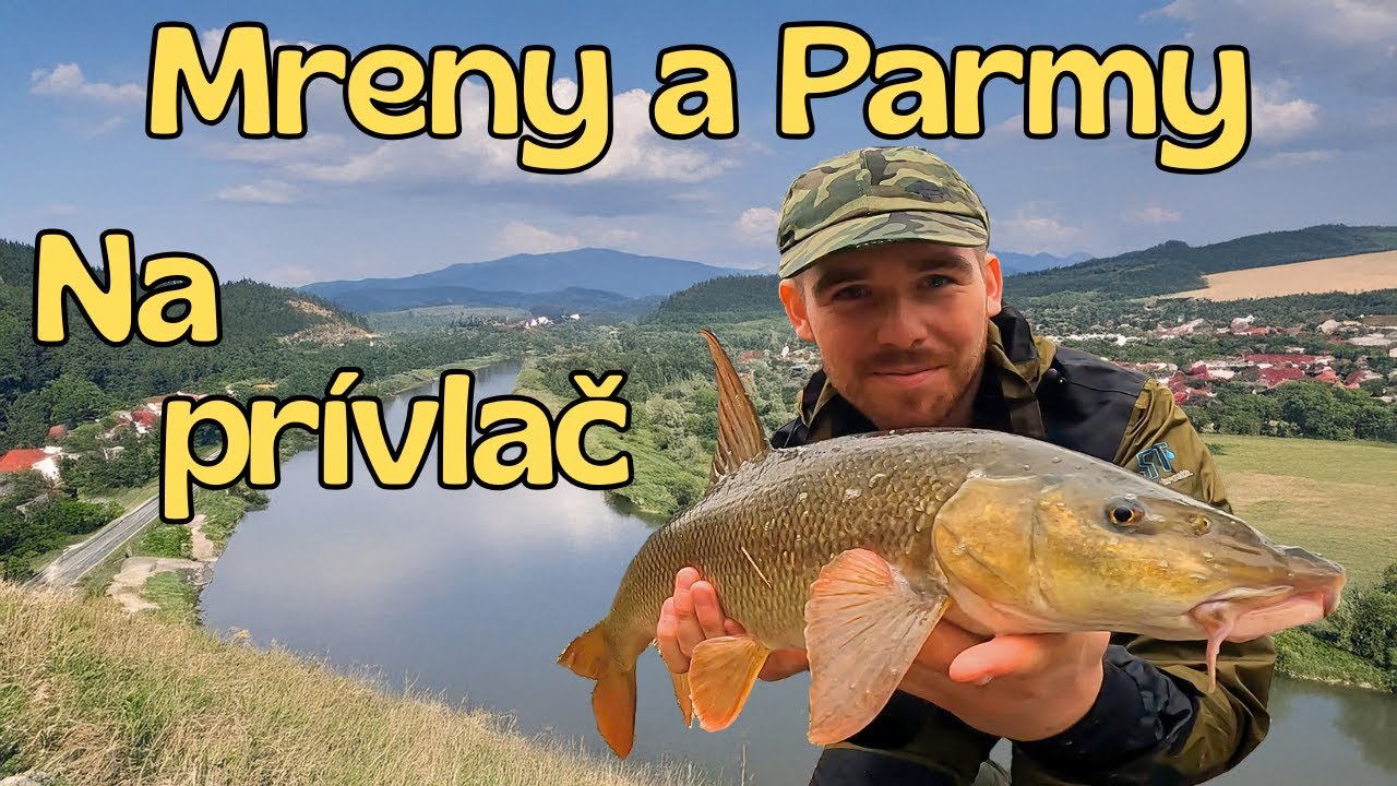 Lov Mreny na prívlač🎣 rieka Laborec na Východe Slovenska