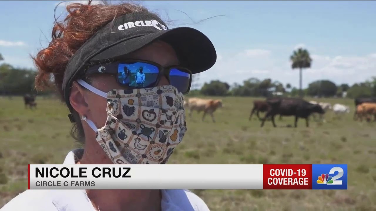 Meat shortage? One SWFL farm will sell you half a cow
