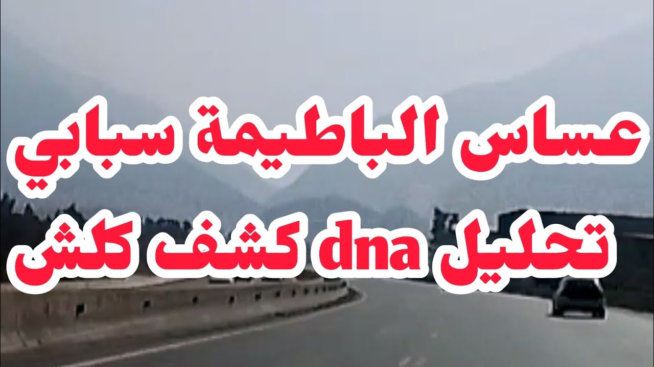 عساس الباطيمات سبابي❌تحليل dnaكشف كلش وخلاني نخرج من دوامة مفرغة💔طلعت روحي بروحي💔