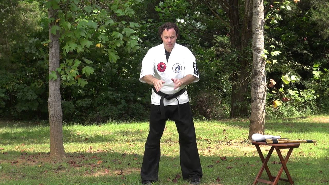 Iron Shirt Chi Kung 2:  Regrowing the Tendons, Tendon Strength