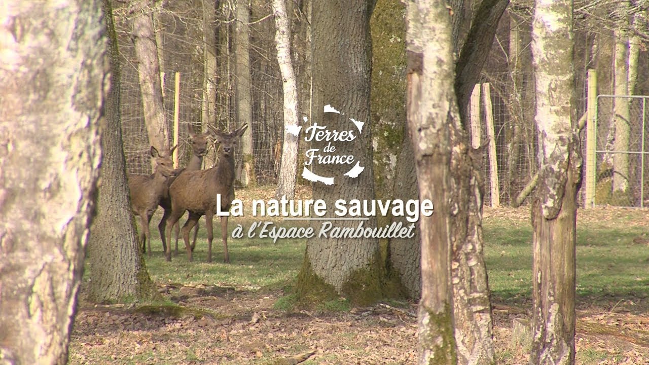 La nature sauvage à l'Espace Rambouillet - Terres de France