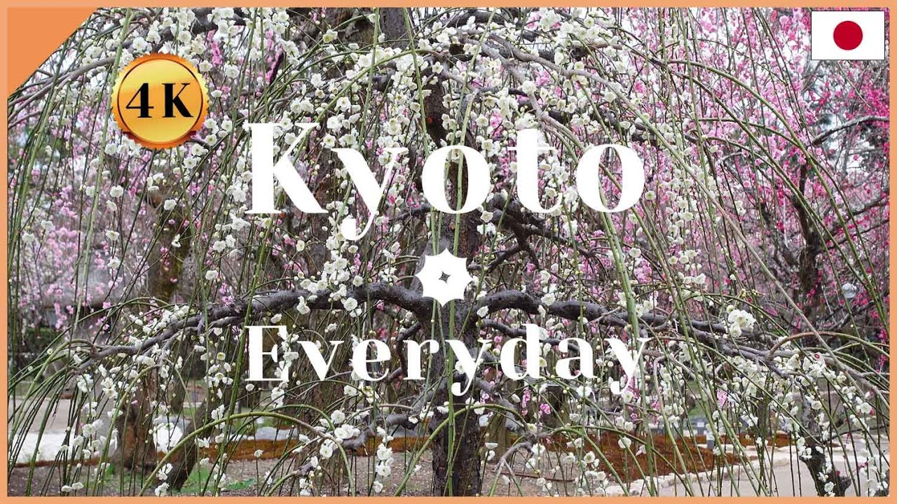 2/23/2021 Plum blossom paradise! Kitano Tenmangu Shrine