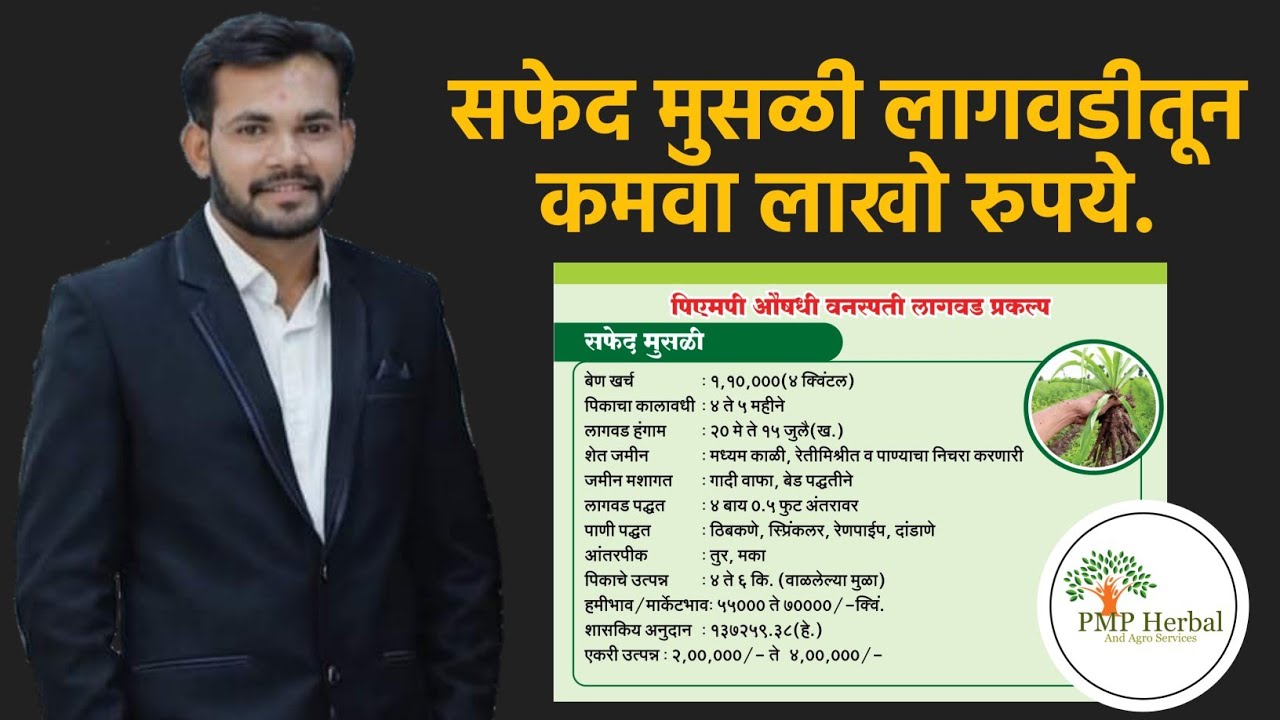 Safed Musali Lagvad Full Information Video | मार्गदर्शन खरेदी विक्री | PMP Herbal And Agro Services