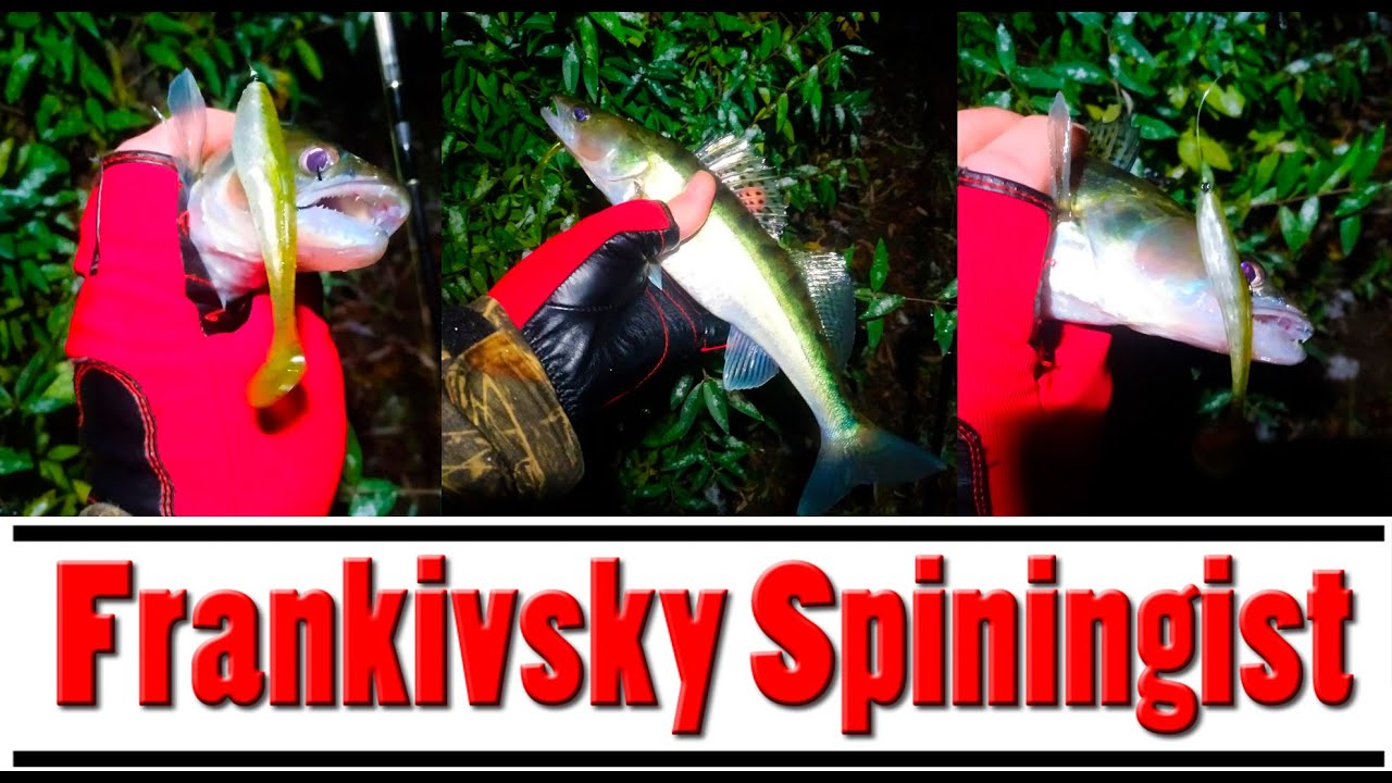 FishUp Wizzle Shad 3