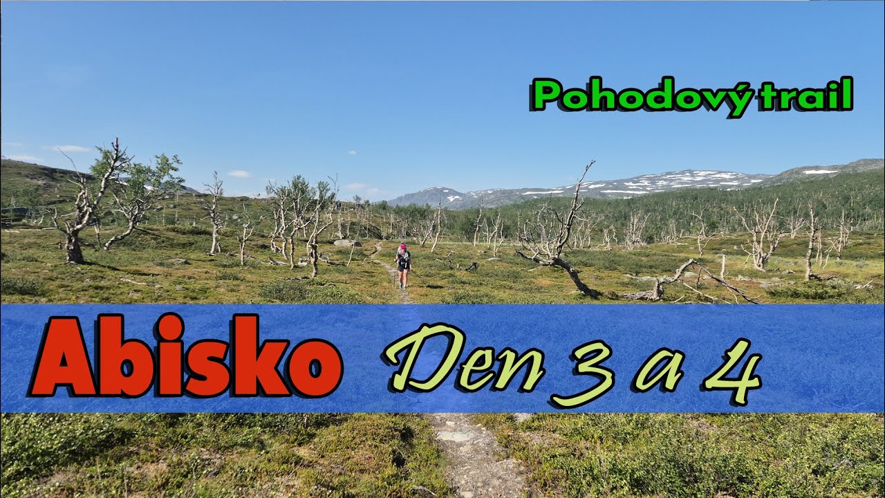 Uchvatné Abisko: Den 3 a 4 -  Lenka viděla losa!