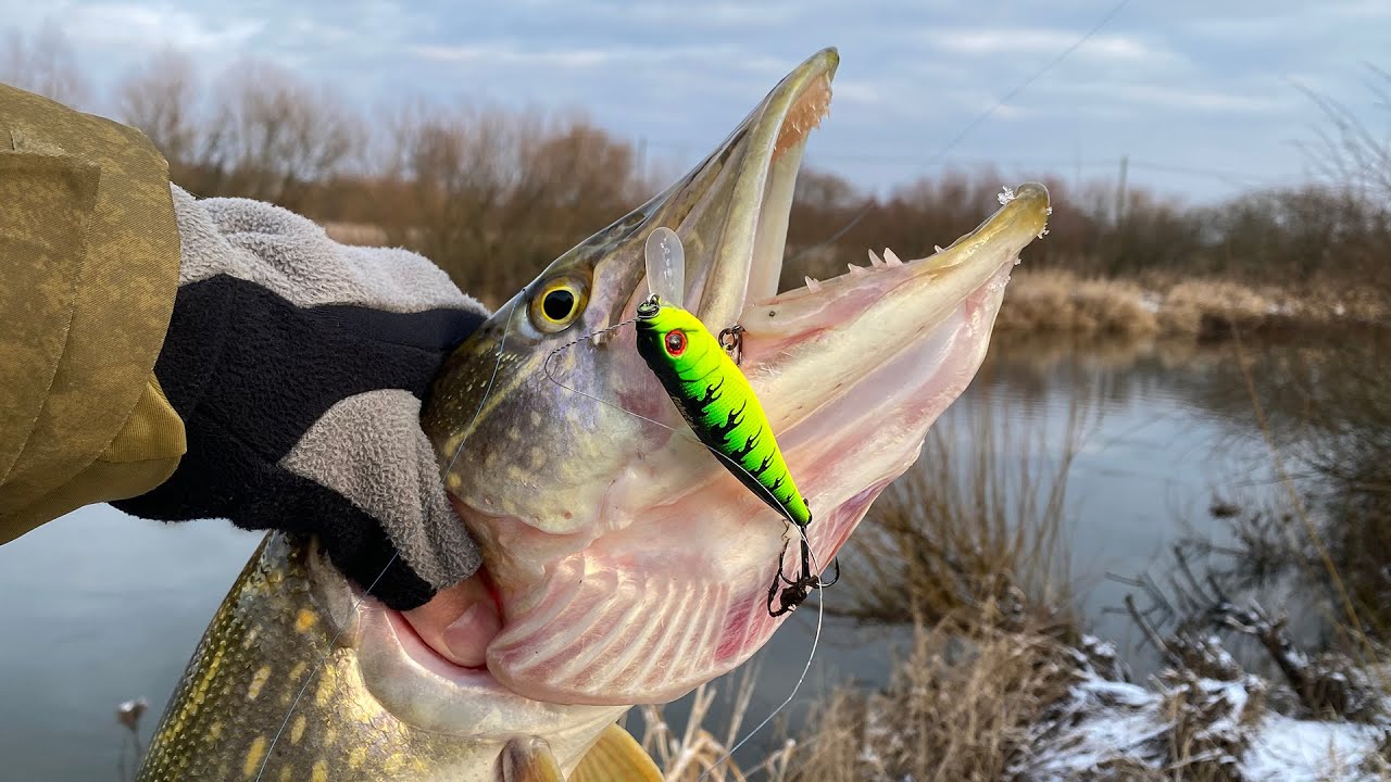 Открытие спиннингового сезона 2025 | Твичинг на реке | Зимний спиннинг с берега