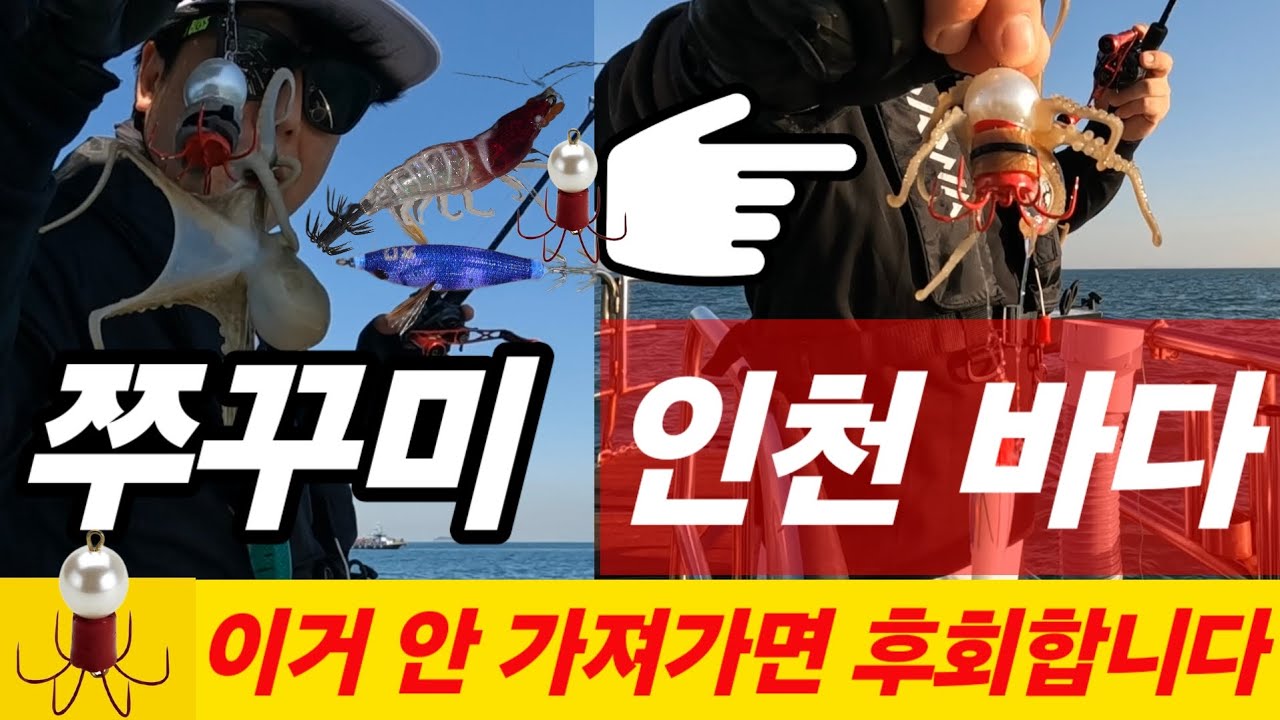 인천 쭈꾸미 선상낚시 이거 안 가져가면 후회합니다 #fishing #생활꿀팁 #youtube #쭈꾸미 #갑오징어 
