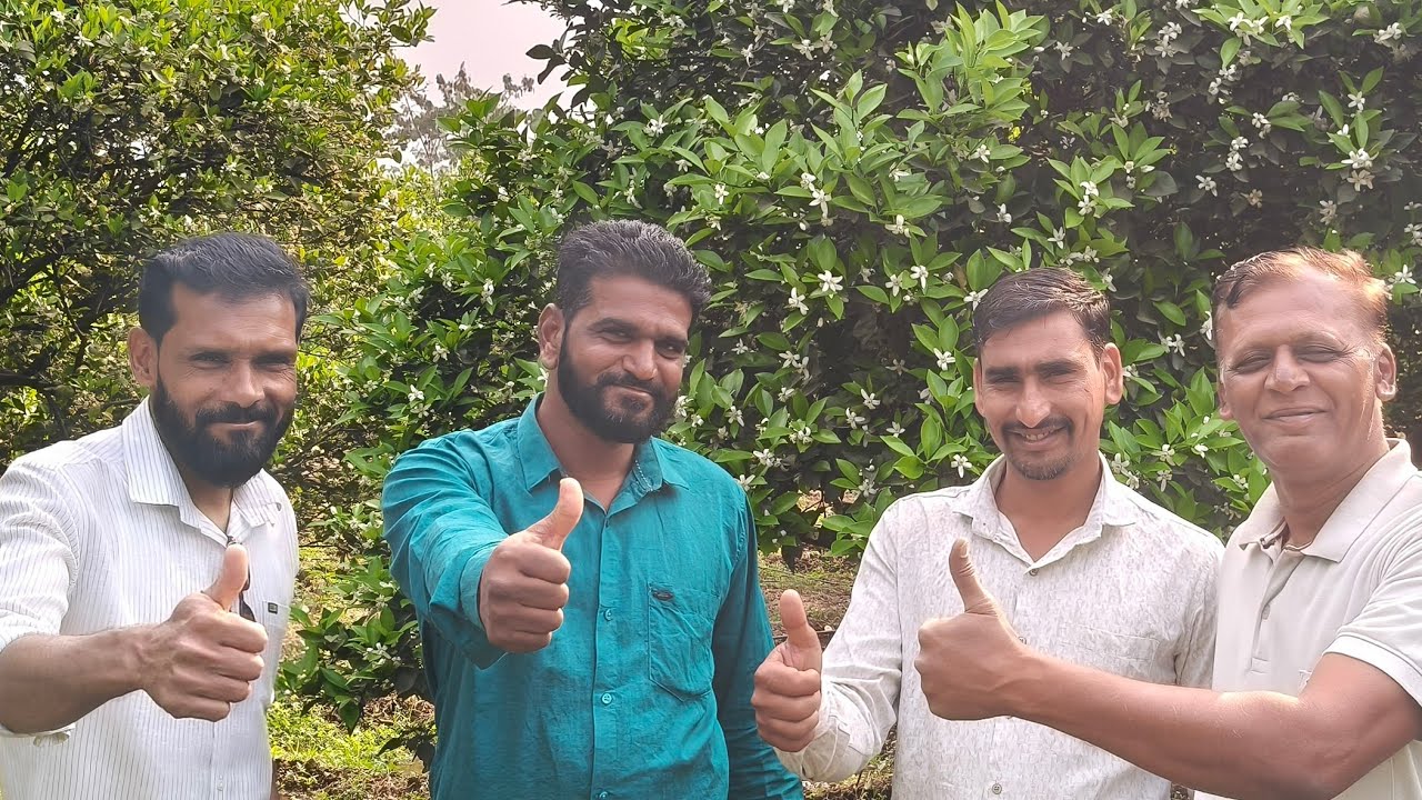 मोसंबी काडीवरच्या बागेत फळबाग सोबतीच्या वार्षिक नियोजनामुळे उत्कृष्ट उपलब्धी. डॉ. बाबासाहेब तांबे सर
