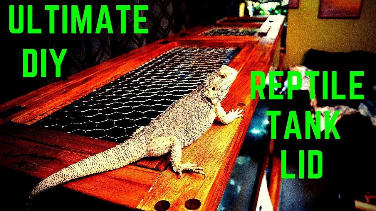 Ultimate DIY Reptile Tank Lid