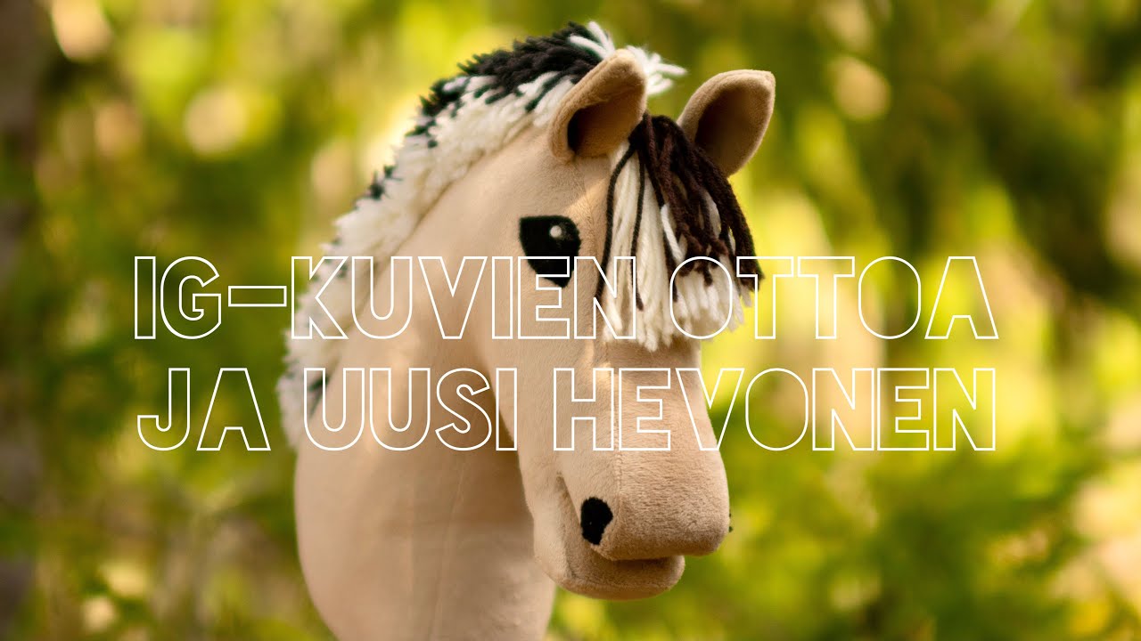 Kuvien Ottoa Ja Uusi Hevonen 🙊😍😆