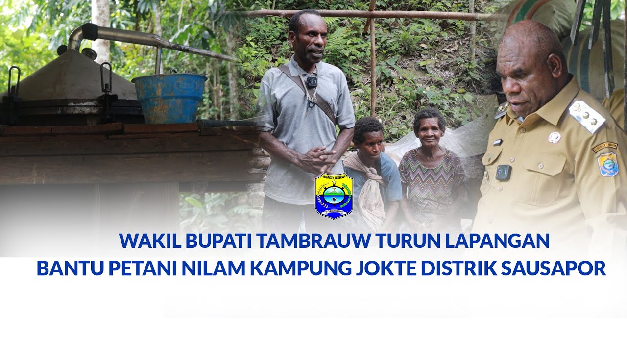 Wakil Bupati Tambrauw Turun Lapangan Bantu Petani Nilam Kampung Jokte Distrik Sausapor