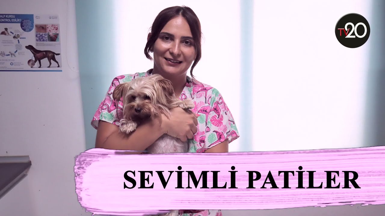 TUĞÇE BOZTEPE İLE SEVİMLİ PATİLER - 1: 