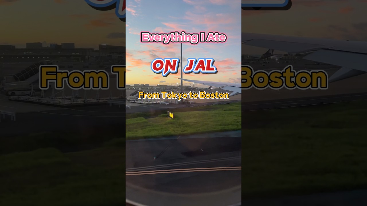 EVERYTHING I ATE on JAL From Tokyo to Boston!