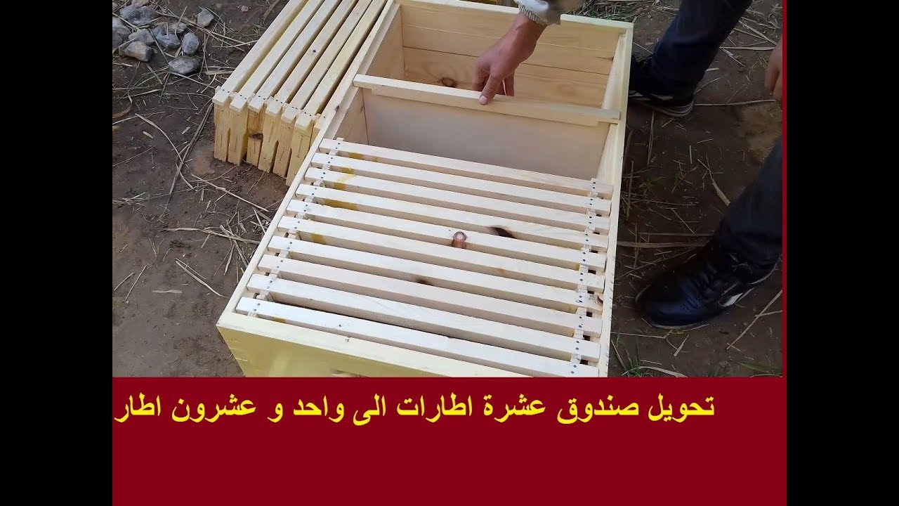 تحويل صندوق خلية نحل من عشرة اطارات الى واحد و عشرون اطار/ تربية النحل