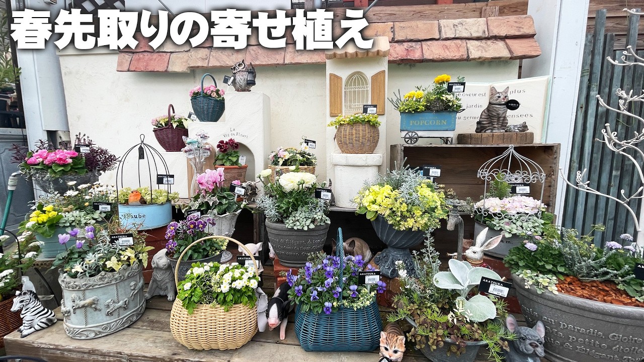 【園芸店の寄せ植え見本鉢】花苗を買う前に参考にしてみると初心者でもオシャレに完成【園芸】【ガーデニング】