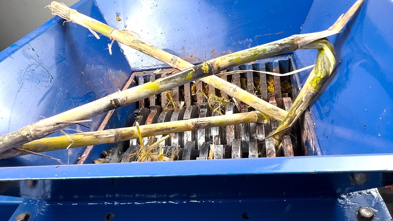 TOP Shredder vs LONG Sugar Canes👌 ULTIMATE Shredder Machine ASMR  Oddly Satisfying & Relaxing Sounds