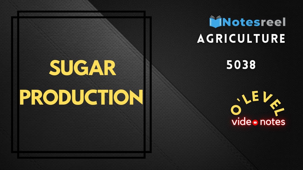 Sugar Production | O Level Notes Agricultural 5038