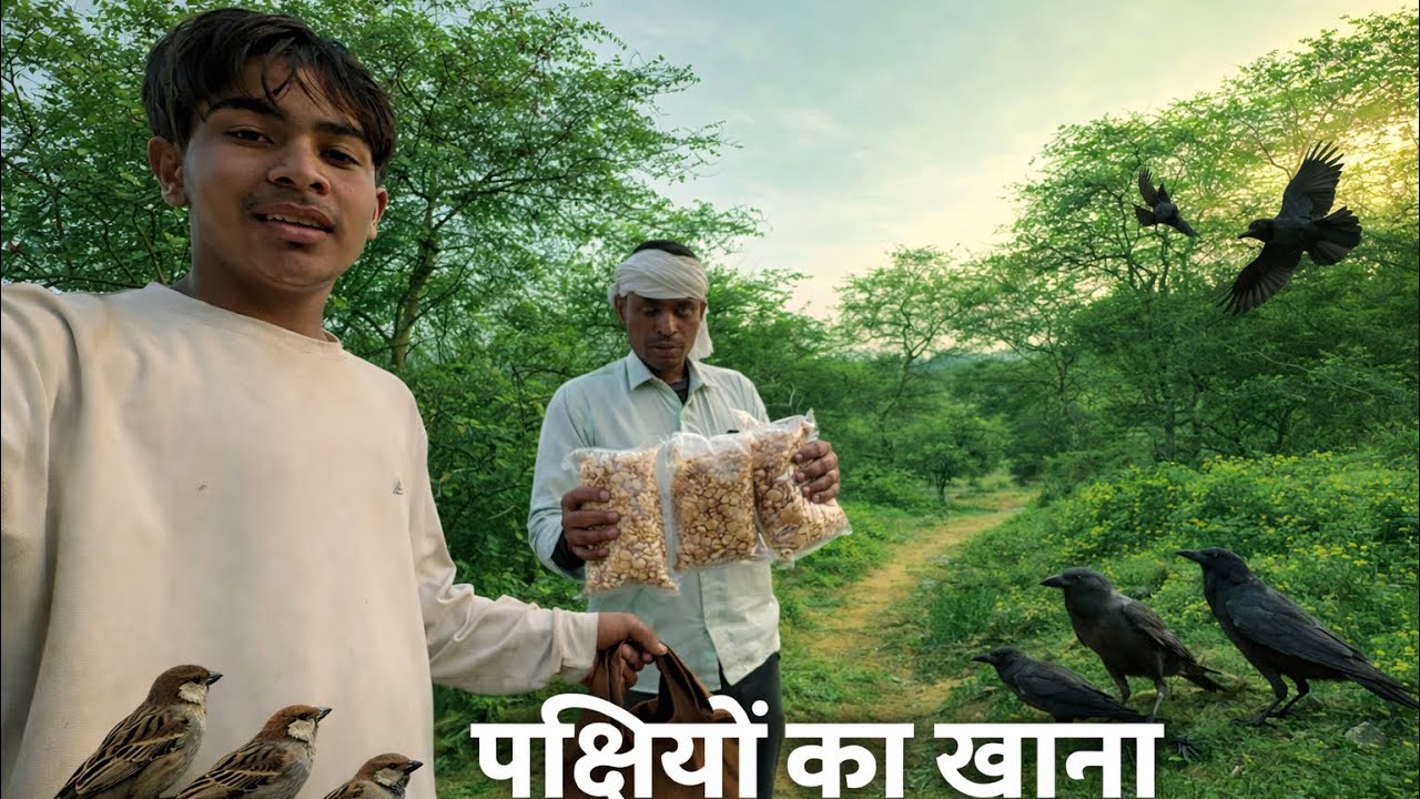 पक्षियों का खाना 🥘 !! dhoralababa 🚩!! #mostpopularvideo 