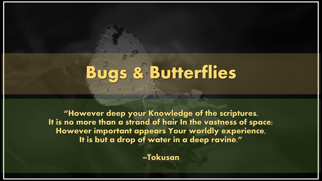 Bugs and Butterflies