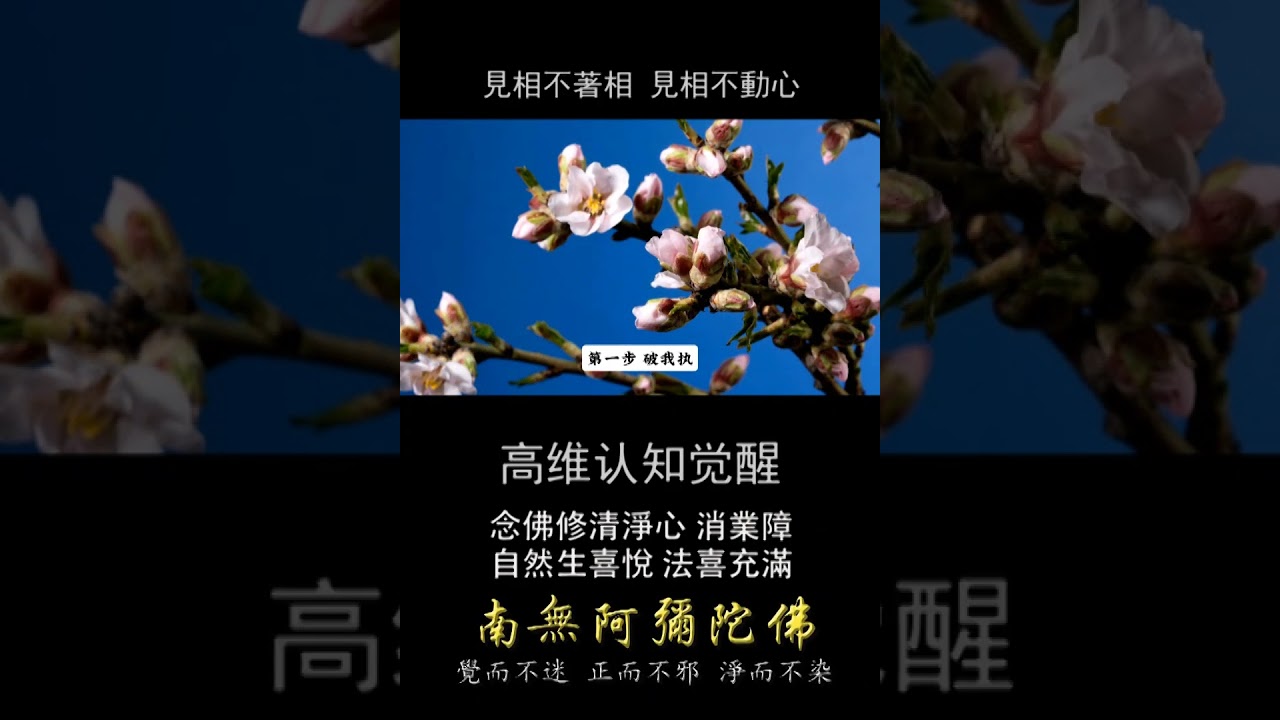 #提升思维 #高维生活 #覺醒覺悟 #正能量 s4276 20260315
