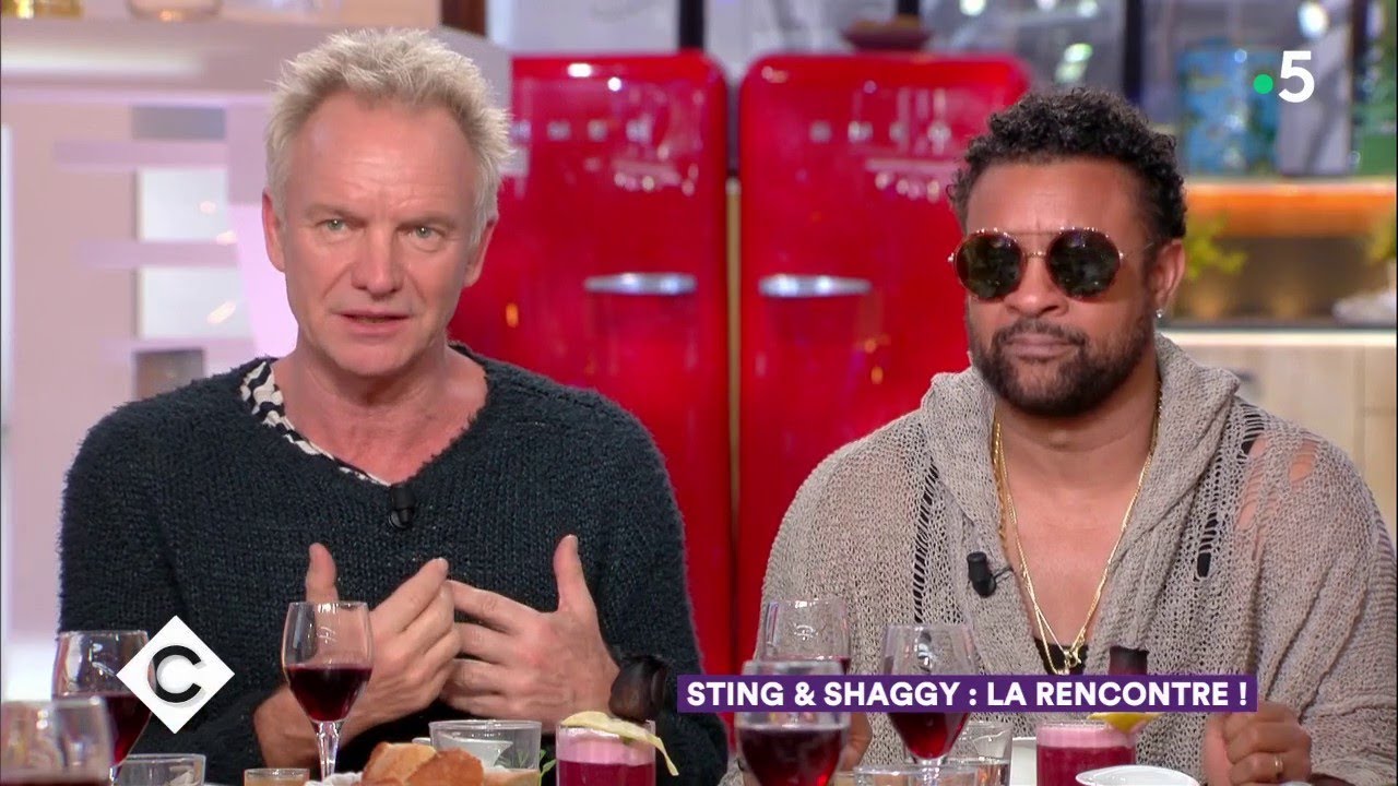 Sting & Shaggy au dîner ! - C à Vous - 24/04/2018