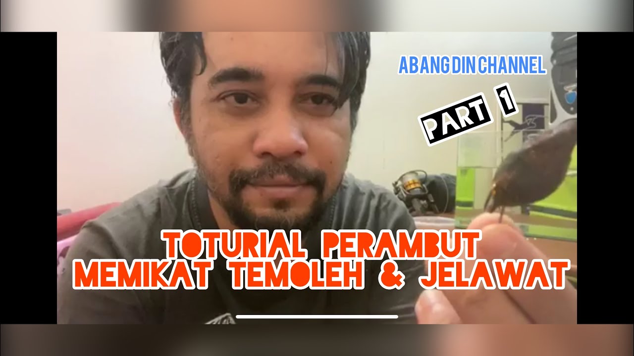 Toturial Perambut memikat Temoleh & Jelawat Wetland #kakipancingwetland