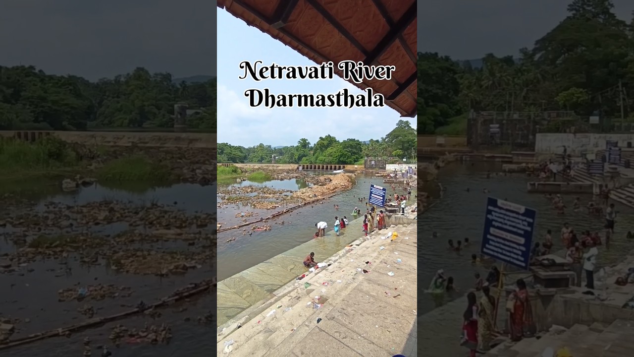 Netravati River Dharmasthala Karnataka India | नेत्रावती नदी धर्मस्थल कर्नाटक भारत