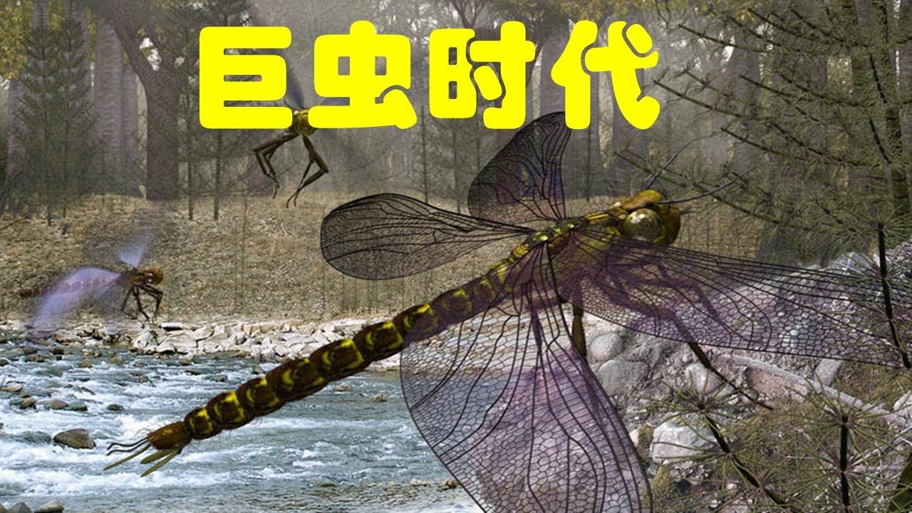 石炭纪：&ldquo;巨虫时代&rdquo;｜植物大繁盛｜地球简史系列19｜海民大叔