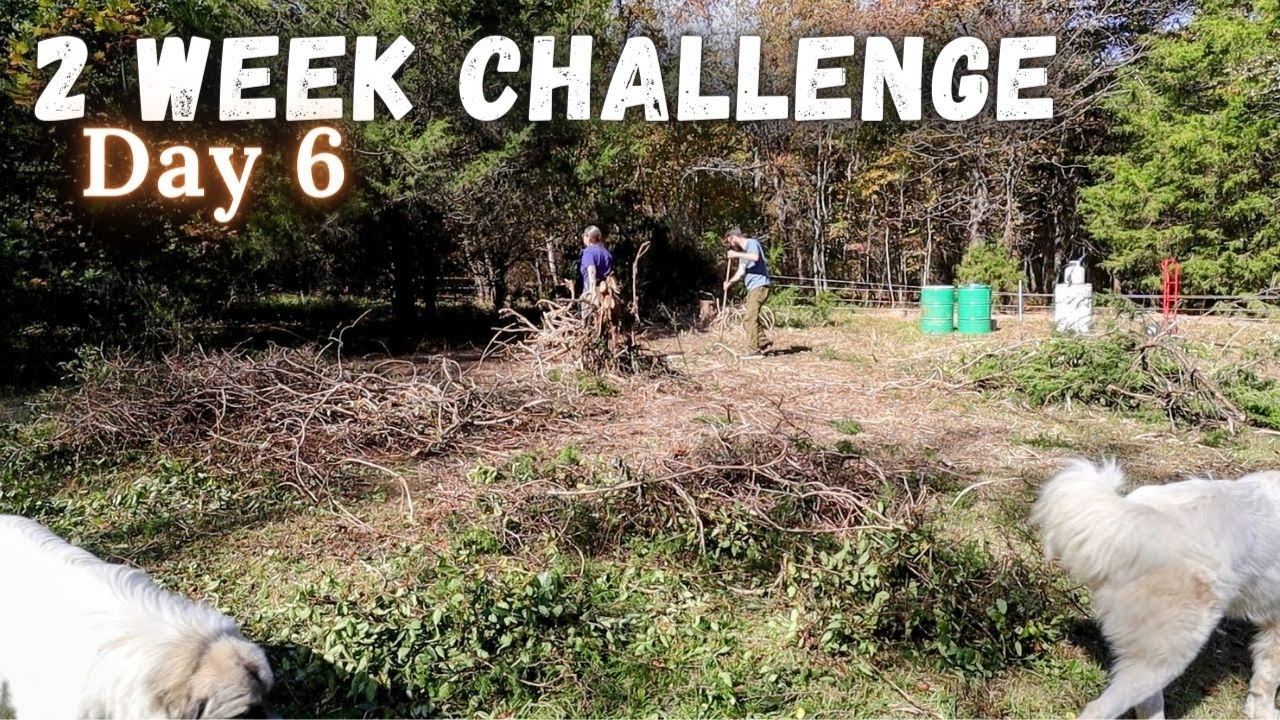 Dealing with a mess on Day 6 of our 2 week Challenge