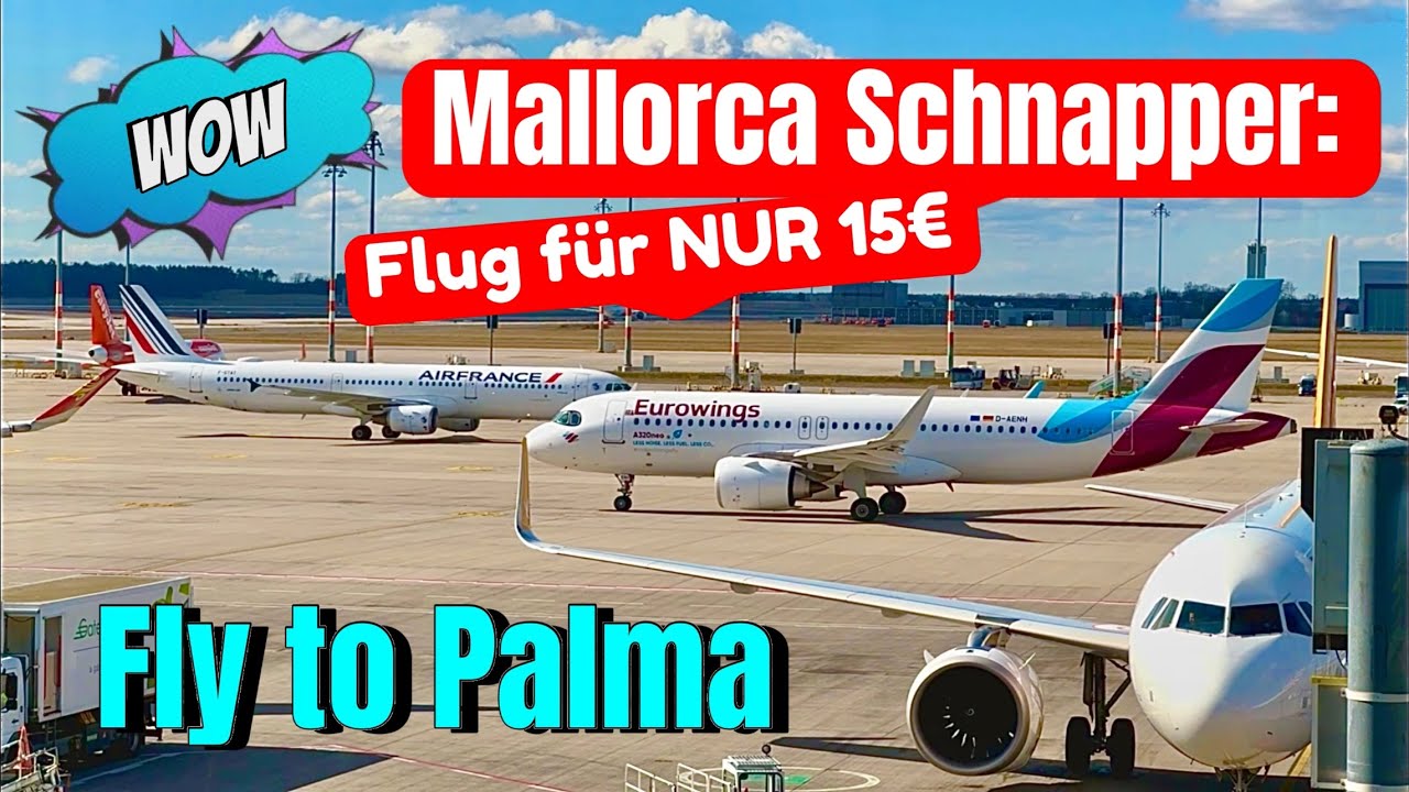 Palma Airport🌴🏖️MALLORCA Günstig nach MALLORCA TRAVEL-TIPP zum billigsten Flugticket #mallorca #vlog