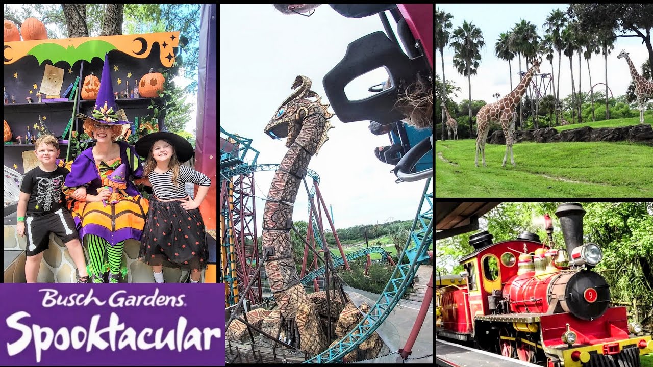 *NEW* Busch Gardens Tampa Spooktacular Event | All Day Dining Deal & Family Friendly Coasters